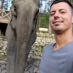 elephant-selfie