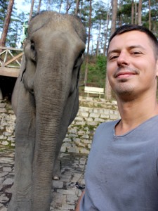 elephant-selfie